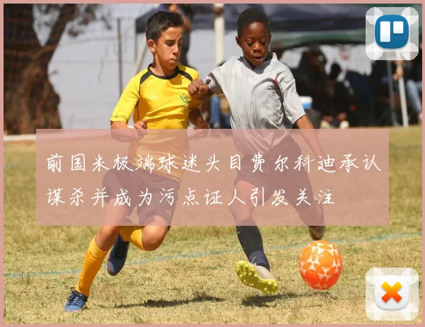 前国米极端球迷头目费尔科迪承认谋杀并成为污点证人引发关注